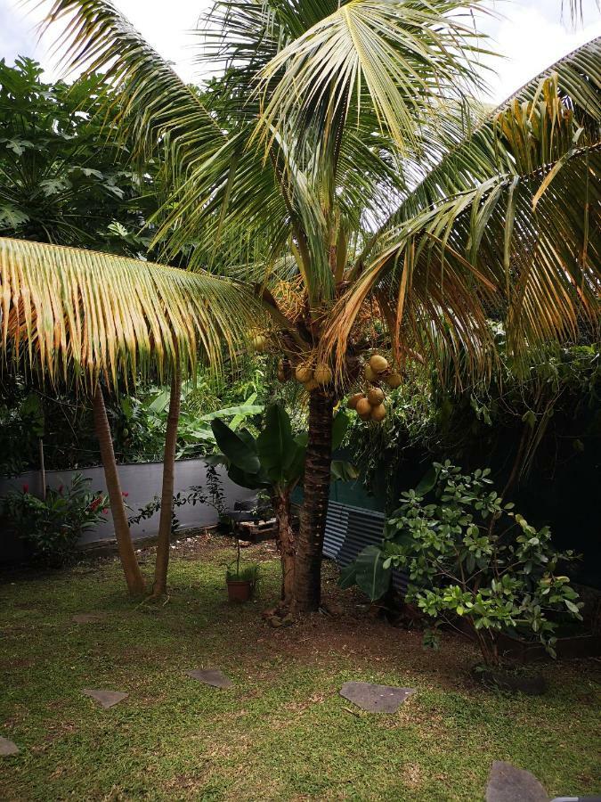 Ti Coco Villa Trois-Rivières Dış mekan fotoğraf